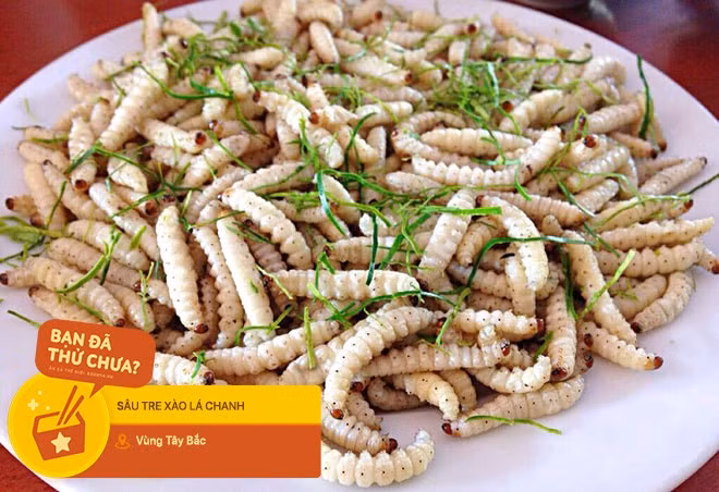 Sâu tre có thể chế biến thành nhiều món ăn như sâu tre rang lá chanh, làm nộm hoa chuối. Khi ăn sẽ thấy sâu thơm ngon, béo ngậy. Ảnh: Nhipsongviet.