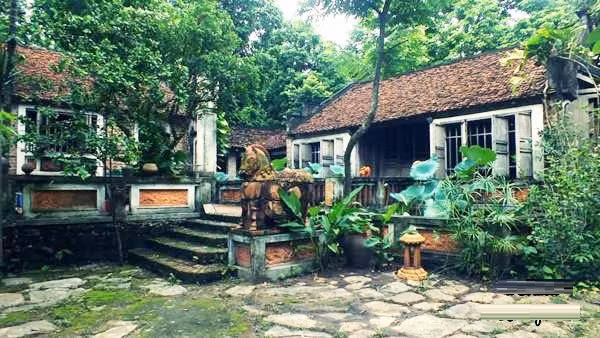 Chủ cũ của ngôi nhà này là một gia đình đông con, từng muốn phá đi để xây ngôi nhà ống mới, hiện đại. Khi biết được ý muốn này, họa sĩ Bùi Hoài Mai đã mua lại và bắt tay vào phục dựng ngôi nhà cổ trên diện tích đất rộng 700m2. Ảnh: Dân Việt