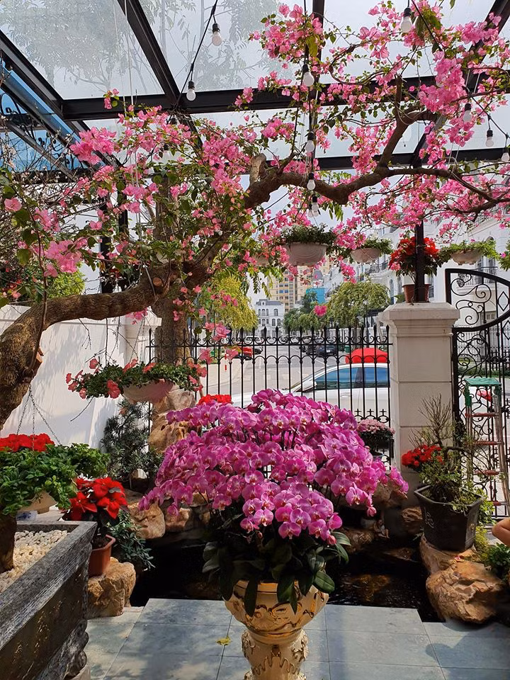 Khu vuon ngap sac xuan trong biet thu tien ty cua Tuan Hung