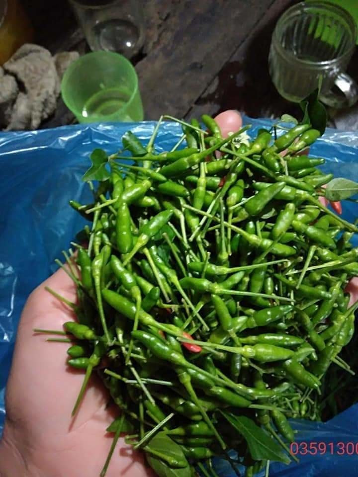 Giá ớt đắt đỏ nhưng ăn khá lâu vì quả nhỏ, một lạng lên tới hàng trăm trái. Ảnh: FB.