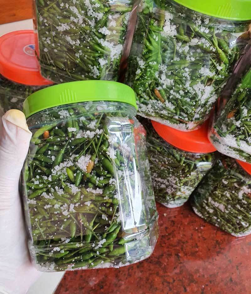 Nguyên nhân khiến ớt gió Hà Giang được nhiều người yêu thích là vì ớt cay nhưng thơm, không nồng, mùi thơm thoang thoảng vị thảo mộc khiến người dùng có cảm giác như một vị thuốc. Ảnh: FB.