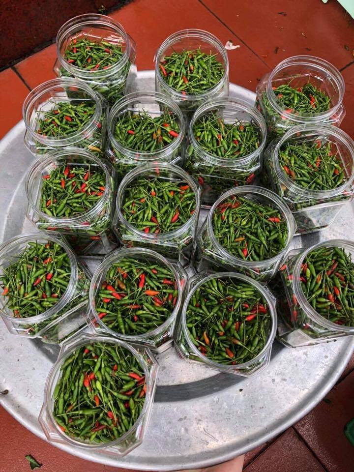 Cô Hà (một đầu mối bán đặc sản Tây Bắc online) cho biết, ớt gió năm nay khá hút khách dù giá rất cao. Gần đây, mặt hàng ớt gió của cô Hà luôn trong tình trạng "cháy hàng". Ảnh: Mega Food.