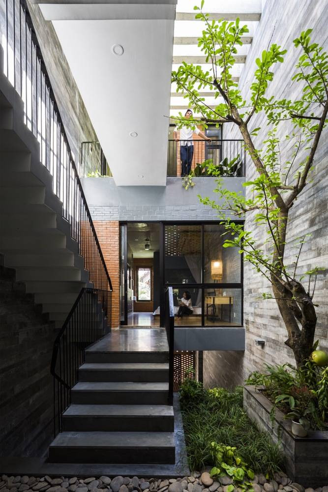 Cây xanh như một yếu tố không thể thiếu trong nhà. Nguồn ảnh: Archdaily. Video: Độc đáo cách tạo lối vào nhà. Nguồn: VTC1