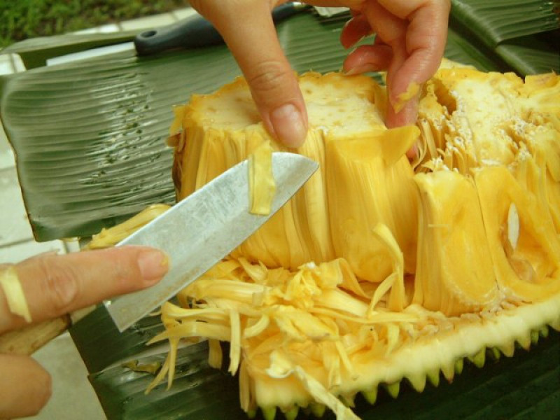 Ngoài ra, bạn cũng có thể dựa vào hương thơm tự nhiên của mít để phân biệt mít tự nhiên và mít được tiêm hóa chất. Mít chín cây thường có mùi thơm đặc trưng, đi từ xa đã có thể cảm nhận được.