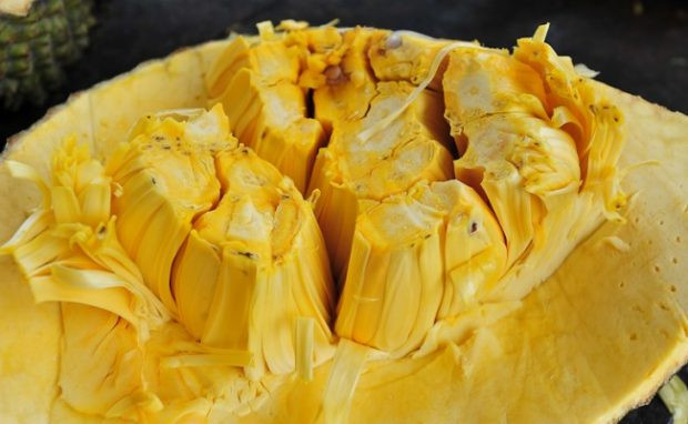 Còn một cách nữa là dùng tay vỗ nhẹ hoặc búng vào vỏ quả thấy phát ra những tiếng kêu bình bịch thì đó là mít chín và ngon.