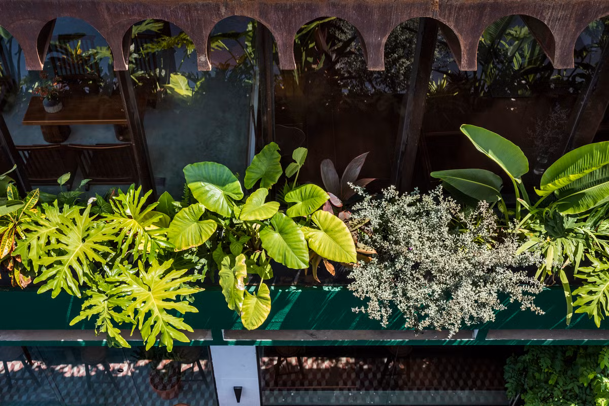 Mặt tiền bằng thép trước đây được thay thế bằng cửa sổ kính mở và ban công đầy cây xanh. Nguồn ảnh: Hiroyuki Oki. Video: Độc đáo cách tạo lối vào nhà. Nguồn: VTC1