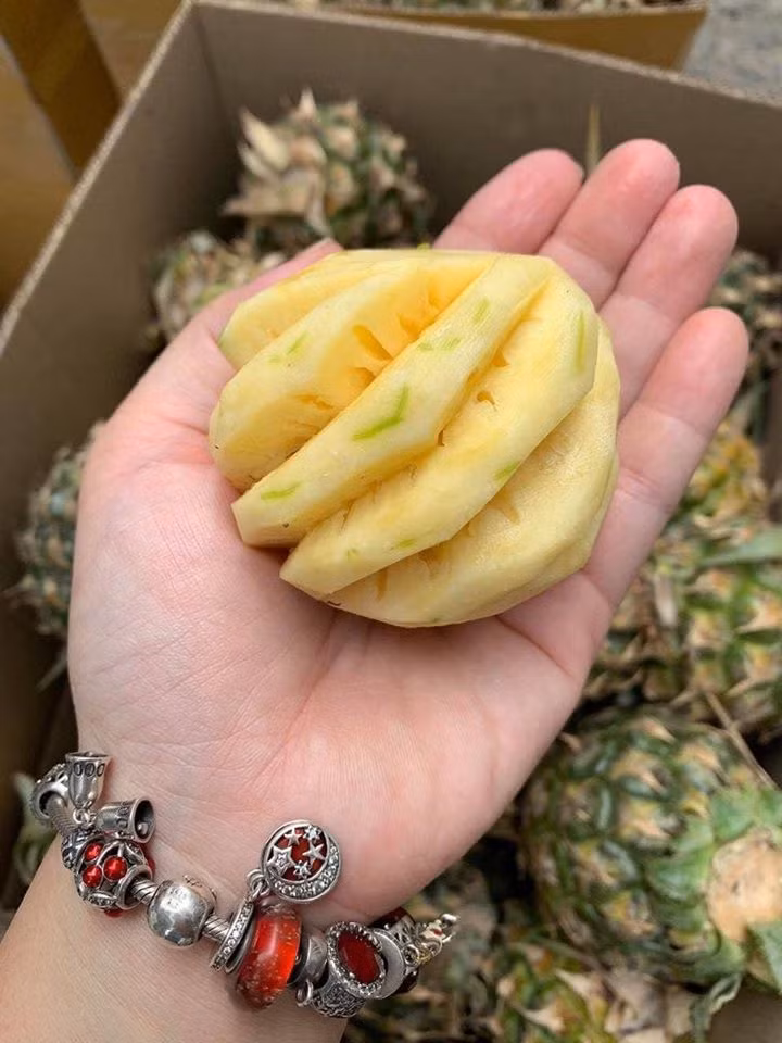 Dù đắt gấp nhiều so với dứa Việt nhưng dứa mini Thái Lan vẫn rất hút khách. Nhiều đầu mối nhập cả tấn dứa mini về, bán cho khách sỉ chỉ trong ngày là hết.