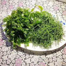 Bởi thế, hoa rau ngót rừng thuộc diện hàng hiếm. Ảnh: Facebook.