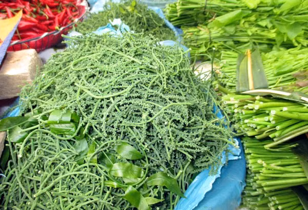 Tuy nhiên, nếu như một cây rau ngót rừng có thể thu được 10kg thì hoa rau ngót một cây chỉ hái được khoảng 1kg. Ảnh minh họa.