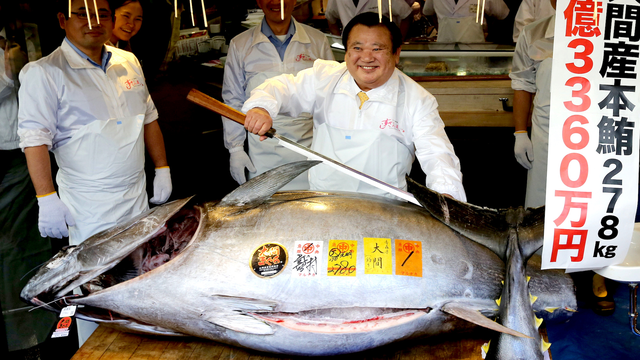 Năm 2013, một con cá ngừ vây xanh nặng 221,8 kg được bán với giá 1,8 triệu USD (tương đương 41 tỷ đồng) lập nên kỷ lục thế giới.