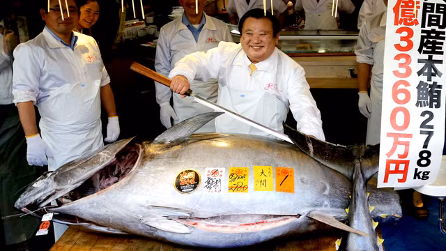 Năm 2013, một con cá ngừ vây xanh nặng 221,8 kg được bán với giá 1,8 triệu USD (tương đương 41 tỷ đồng) lập nên kỷ lục thế giới.