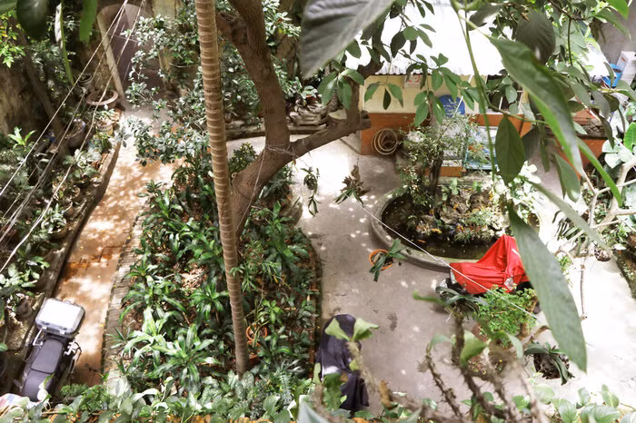 Bên trong ngôi biệt thự rộng gần 700m2 là hệ thống nhà vườn có cây xanh mọc tươi tốt. Ảnh: Saostar.