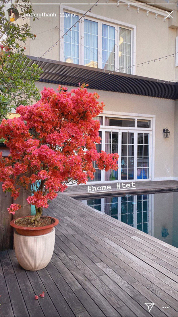 Dù bận rộn với công việc nhưng các sao Việt vẫn dành thời gian mua sắm hoa, vật dụng trang trí ngày Tết để bày biện cho tổ ấm.