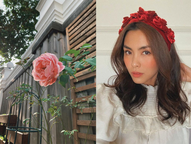 Gần Tết Nguyên đán Canh Tý 2020, Tăng Thanh Hà chia sẻ bức ảnh khuôn viên trong nhà bày biện ngập sắc hoa.