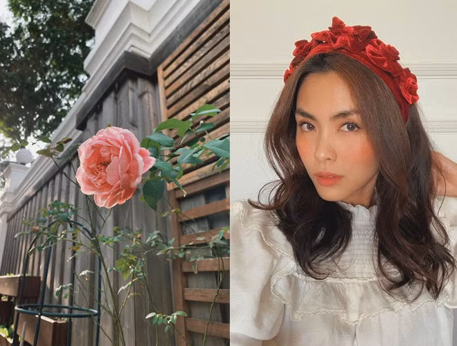 Gần Tết Nguyên đán Canh Tý 2020, Tăng Thanh Hà chia sẻ bức ảnh khuôn viên trong nhà bày biện ngập sắc hoa.