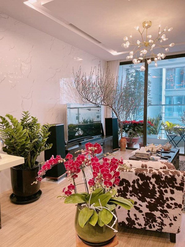 Căn hộ của gia đình Á hậu Huyền My được trang trí đủ các loại hoa để đón Tết.