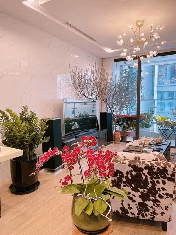 Căn hộ của gia đình Á hậu Huyền My được trang trí đủ các loại hoa để đón Tết.