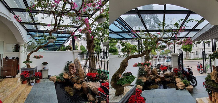 Tuấn Hưng trang hoàng cho khuôn viên của căn biệt thự bằng những chậu hoa sắc đỏ bắt mắt.