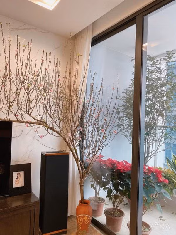 Bên ngoài ban công cũng ngập sắc hoa.