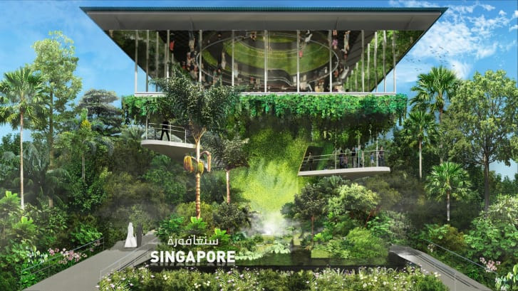 Gian hàng Singapore tại Triển lãm Dubai Expo 2020 (Dubai, UAE) sẽ mang không gian xanh dày đặc tới UAE với những tán cây dẫn khách tham qua qua các khu vườn treo đầy cây xanh và hoa lan. Nguồn ảnh: CNN.