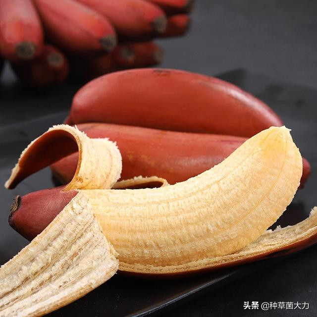 Ngoài ra, chuối đỏ Nam Dương còn rất ngọt và bổ dưỡng.