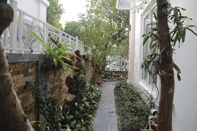 Lối đi riêng xung quanh nhà được trồng nhiều cây và hoa. Ảnh: FBNV.