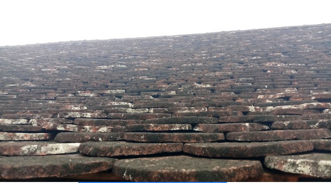 Mái ngói phủ kín rêu phong. Ảnh: Lao động