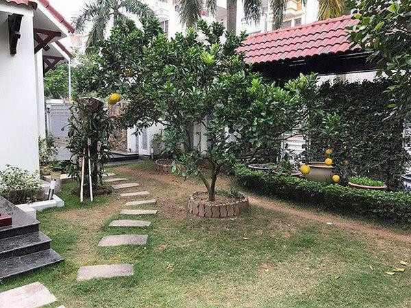 Khu vườn đầy cây trái bên trong biệt thự.