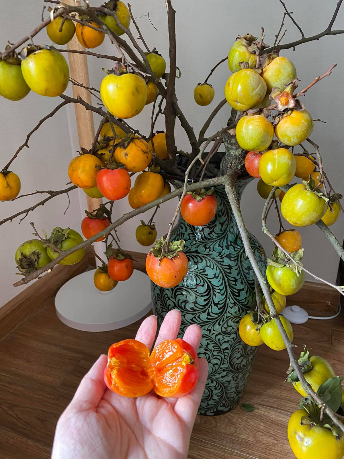 Chị Lan Anh (Cầu Giấy, Hà Nội) cho biết, thích cắm cành hồng hơn táo mèo vì kinh tế hơn táo, chơi xong là ăn được. Thêm nữa, đây là lần đầu tiên tại thủ đô, các con được tận mắt xem hồng chín trực tiếp trên cành.