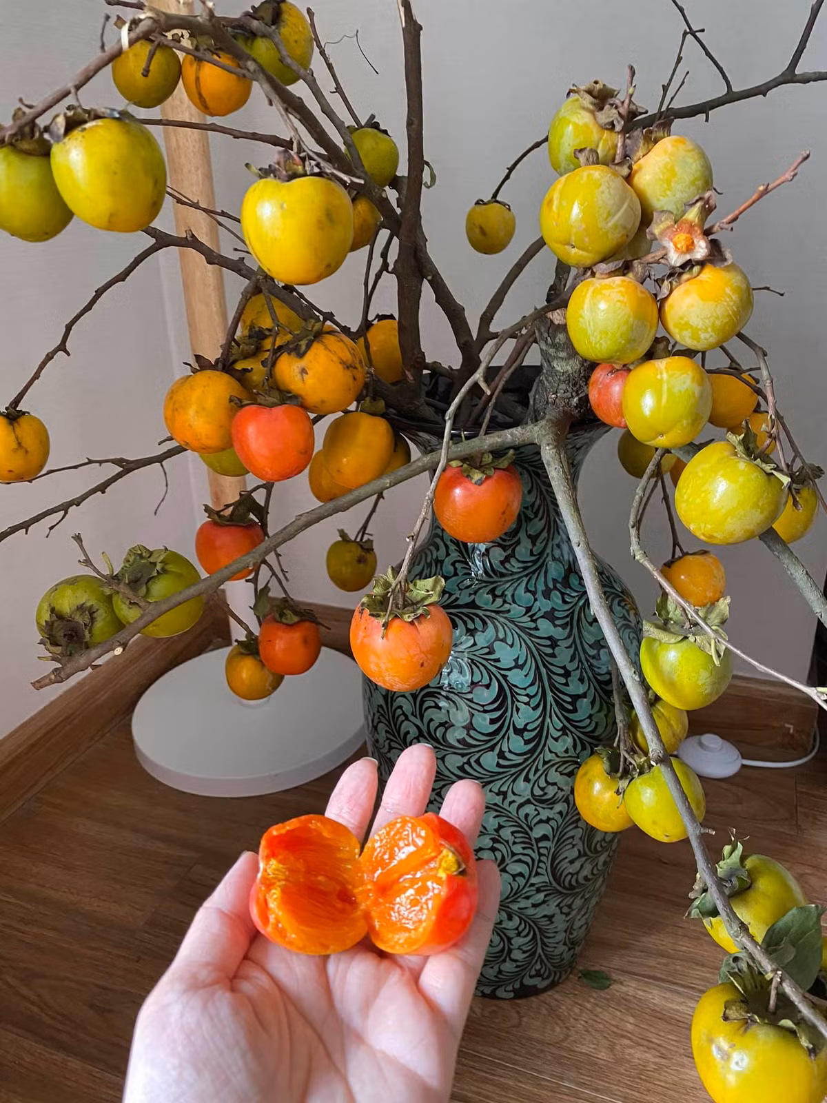 Chị Lan Anh (Cầu Giấy, Hà Nội) cho biết, thích cắm cành hồng hơn táo mèo vì kinh tế hơn táo, chơi xong là ăn được. Thêm nữa, đây là lần đầu tiên tại thủ đô, các con được tận mắt xem hồng chín trực tiếp trên cành.