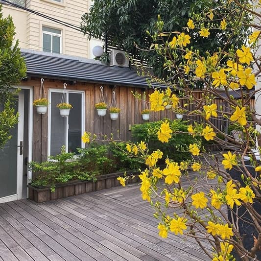 Không gian ngập sắc hoa tạo cảm giác bình yên. Nguồn ảnh: FBNV.