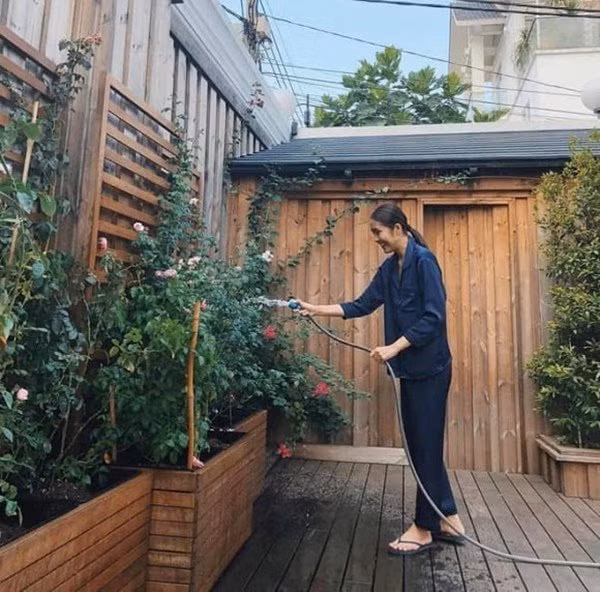 Người đẹp cũng rất chịu khó trồng rau sạch và hoa trong thùng gỗ.