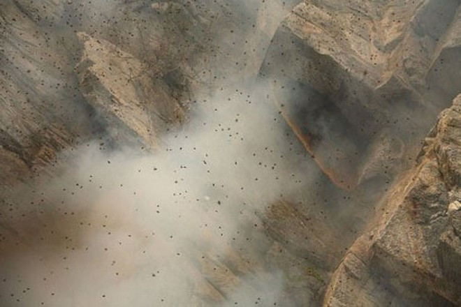 Đàn ong sẽ bay ra xung quanh sau khi bị ngạt khói.