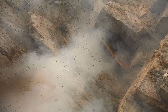 Đàn ong sẽ bay ra xung quanh sau khi bị ngạt khói.