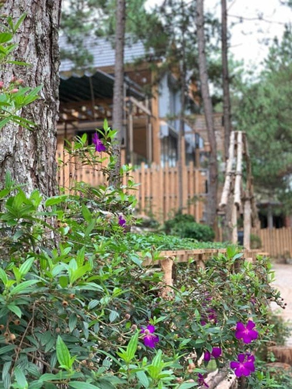 Căn nhà này nằm kế bên Villa Bồ Câu 1 rộng 100 m2 (giá trị khoảng 25 tỷ đồng) mà đại gia Đức An đã xây tặng bà xã vào đầu năm 2019.