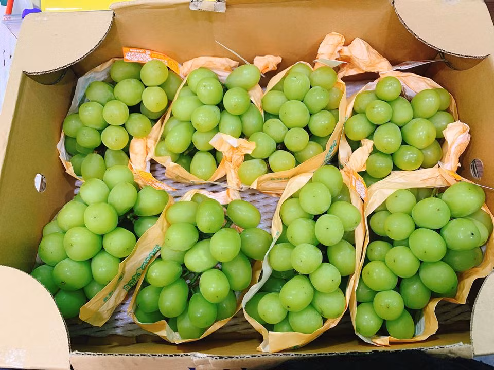 Chị Khánh Huyền (Tây Hồ, Hà Nội) cho biết phải hỏi tới 2 lần mới mua được nho mẫu đơn rụng. Theo chị Huyền, mặt hàng này không có nhiều nên cửa hàng không nhận đặt trước. Khi có thì thông báo trên fanpage, khách nhanh tay thì đặt được.