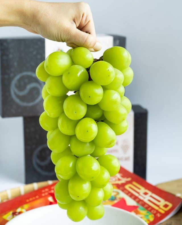 Trong khi đó, loại nho mẫu đơn Nhật nguyên chùm có giá khoảng 1,5-2 triệu/đồng/kg.