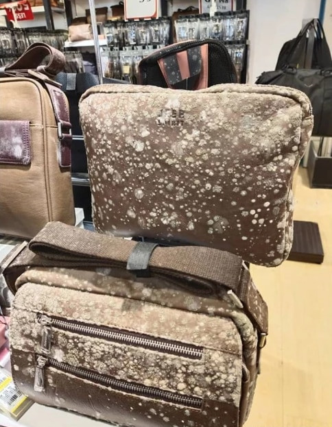 Toàn bộ sản phẩm bằng da trong một cửa hàng thời trang nam ở trung tâm mua sắm bang Sabah, Malaysia bám đầy nấm mốc.