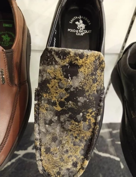 Từ giày dép, túi xách đến thắt lưng đều bị bao phủ bằng lớp mốc trắng xóa.