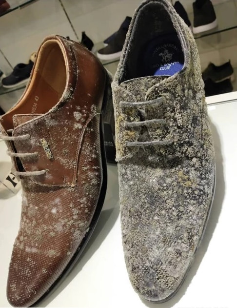 Các sản phẩm đã bị hủy hoại hoàn toàn.