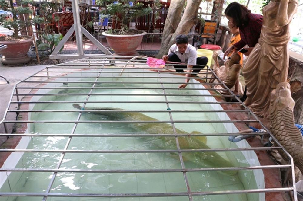 Tuy nhiên, sau đó anh Điệp đã bán cho một đại gia khác với giá 100 triệu đồng. Ảnh: Vietnamnet.