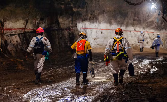 Ước tính, ngành công nghiệp khai thác vàng 130 năm tuổi đời của Nam Phi đã đóng góp hơn một nửa tổng sản lượng vàng khai thác trên trái đất từ trước đến nay.