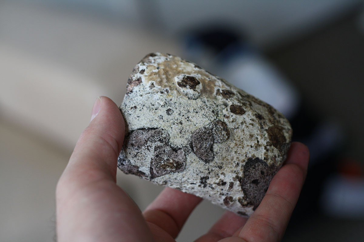 Long diên hương cũng là một thành phần thường thấy trong họ nước hoa quyến rũ. Long diên hương được ví như trầm hương của biển khơi vì được lấy từ ruột của cá nhà táng.