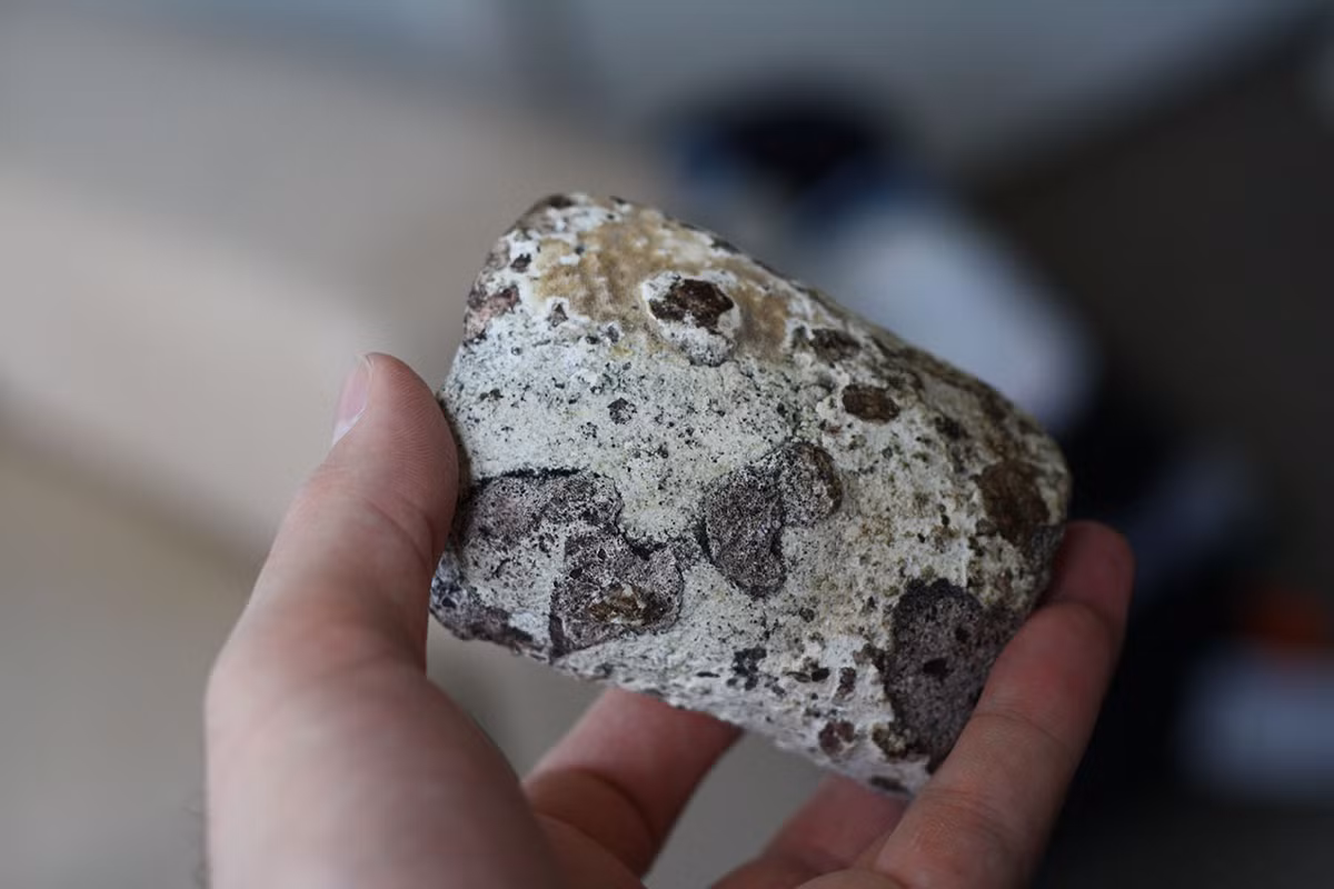 Long diên hương cũng là một thành phần thường thấy trong họ nước hoa quyến rũ. Long diên hương được ví như trầm hương của biển khơi vì được lấy từ ruột của cá nhà táng.