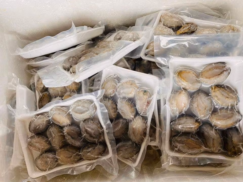 Bào ngư tươi sống có giá cao nhất bởi hương vị thơm ngon và giàu dinh dưỡng hơn. Còn bào ngư khô thuận tiện cho việc vận chuyển nên có giá thấp hơn. Ảnh: Facebook.