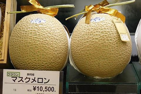 Sửng sốt dưa lưới Yubari Nhật Bản giá trên trời, hơn nửa tỷ đồng/cặp Sung sot dua luoi Yubari Nhat Ban gia tren troi, hon nua ty dong/cap