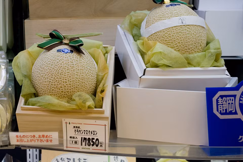 Dưa khi thu hoạch được chuyển tới hợp tác xã để kiểm tra chất lượng và phân thành 4 loại dựa trên vị ngọt.