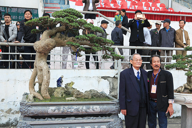 Năm 2017, tác phẩm duối cổ "Thế võ Bình Định" của Nghệ nhân Huỳnh Thành Tuyên đến từ Diêu Trì (Tuy Phước, Bình Định) gây được ấn tượng với người yêu cây nghệ thuật bởi những đường nét nghệ thuật tinh tường độc đáo. Ảnh: Dân Việt