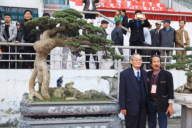 Năm 2017, tác phẩm duối cổ "Thế võ Bình Định" của Nghệ nhân Huỳnh Thành Tuyên đến từ Diêu Trì (Tuy Phước, Bình Định) gây được ấn tượng với người yêu cây nghệ thuật bởi những đường nét nghệ thuật tinh tường độc đáo. Ảnh: Dân Việt