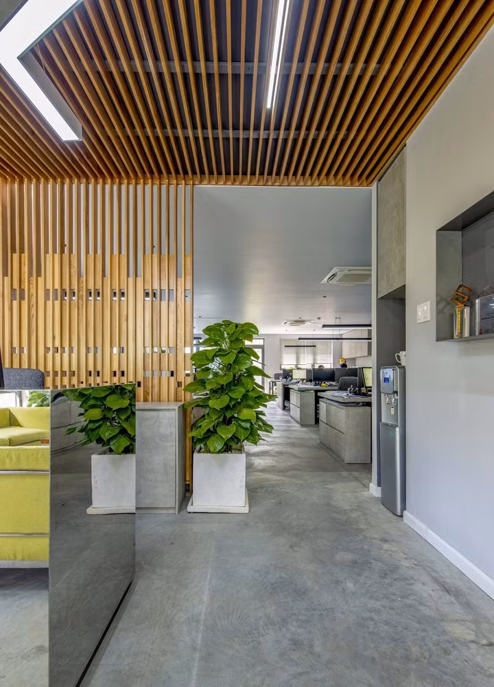 Vách ngăn bằng gỗ màu sáng tạo cảm giác ấm áp, xua tan vẻ lạnh lẽo của tường và sàn bê tông xám.